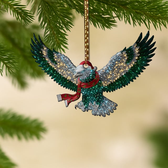 Premium NFL PHI Combo Crystal Christmas Gifts V1 NMD 201025 TTV