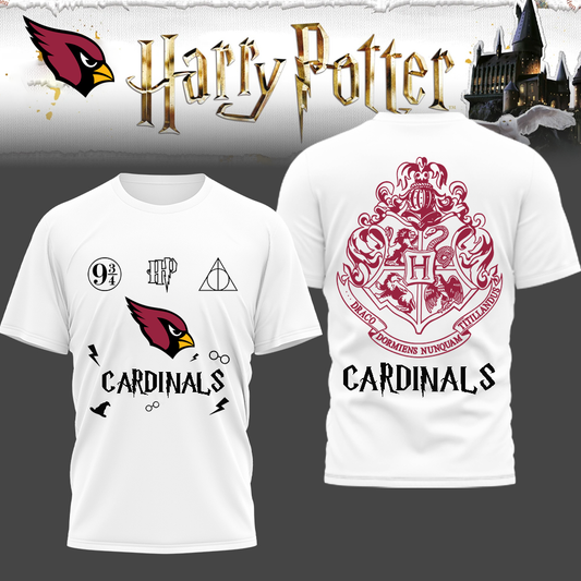 AC Premium NFL x Harry Potter 3D Shirt DDT CTND