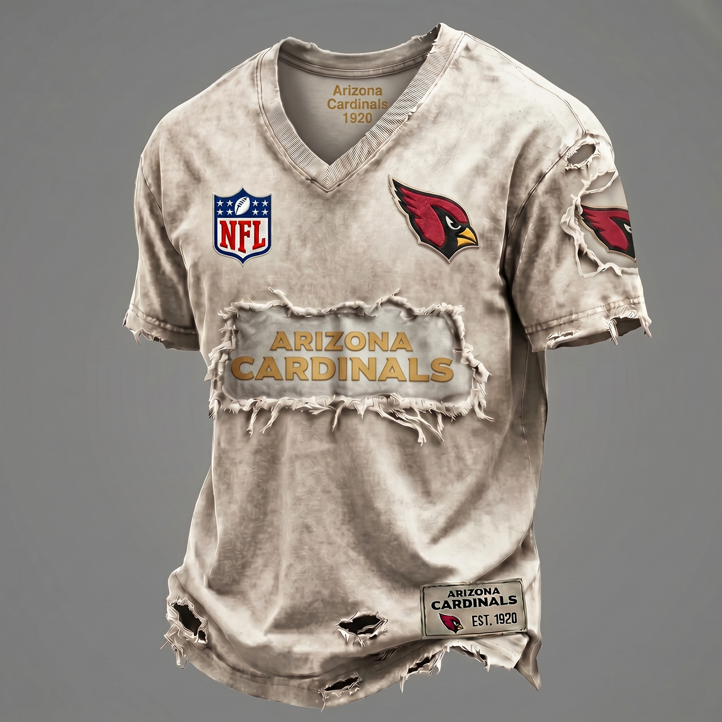 AC NFL Premium V-Neck T-shirt Gift For Fans 0306 NAK DATND NHT