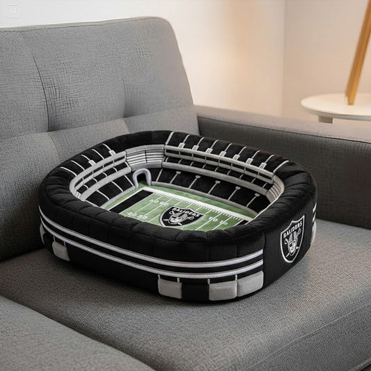 Premium NFL x LV Stadium-Inspired Spirit Pillow NDT NHM