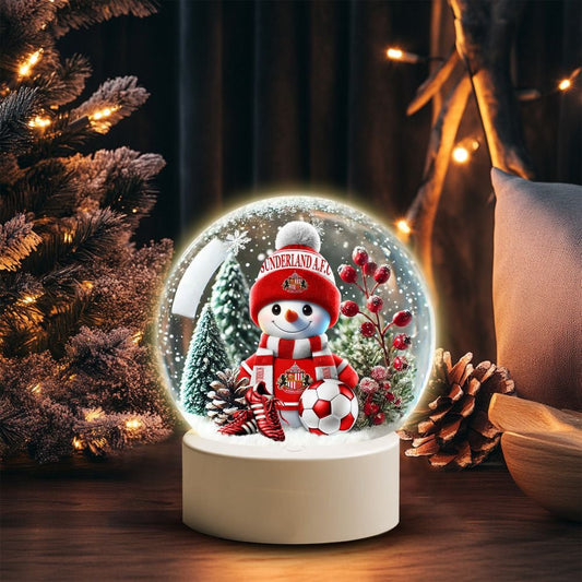 SUN x EPL Snowman Acrylic Night Light DatND DVT