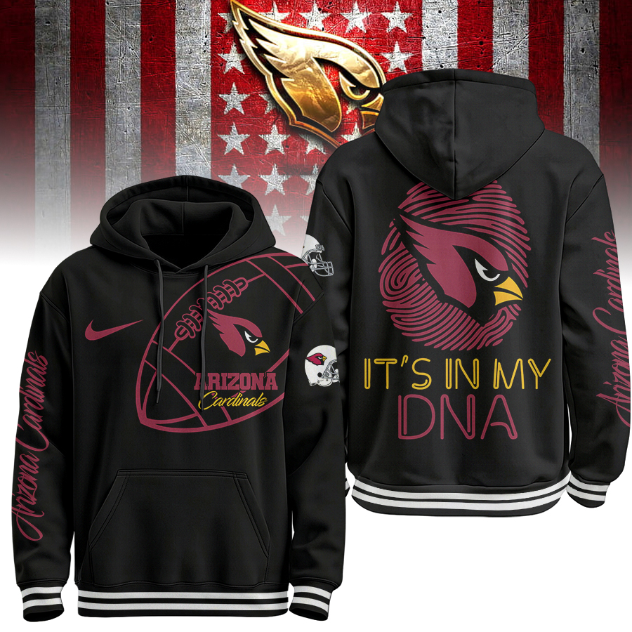 AC Premium NFL Its My DNA Hoodie DDT NTL