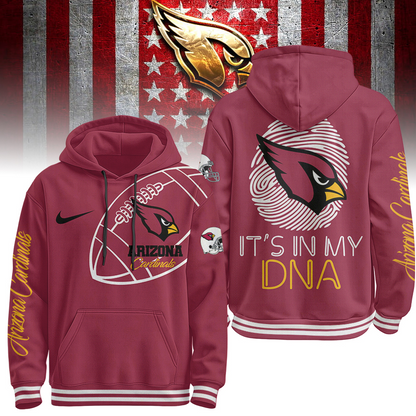 AC Premium NFL Its My DNA Hoodie DDT NTL