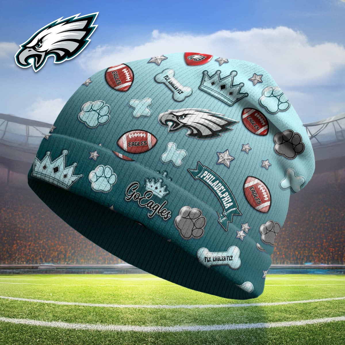 PE Premium NFL Crown Beanie Hat DDT CTND